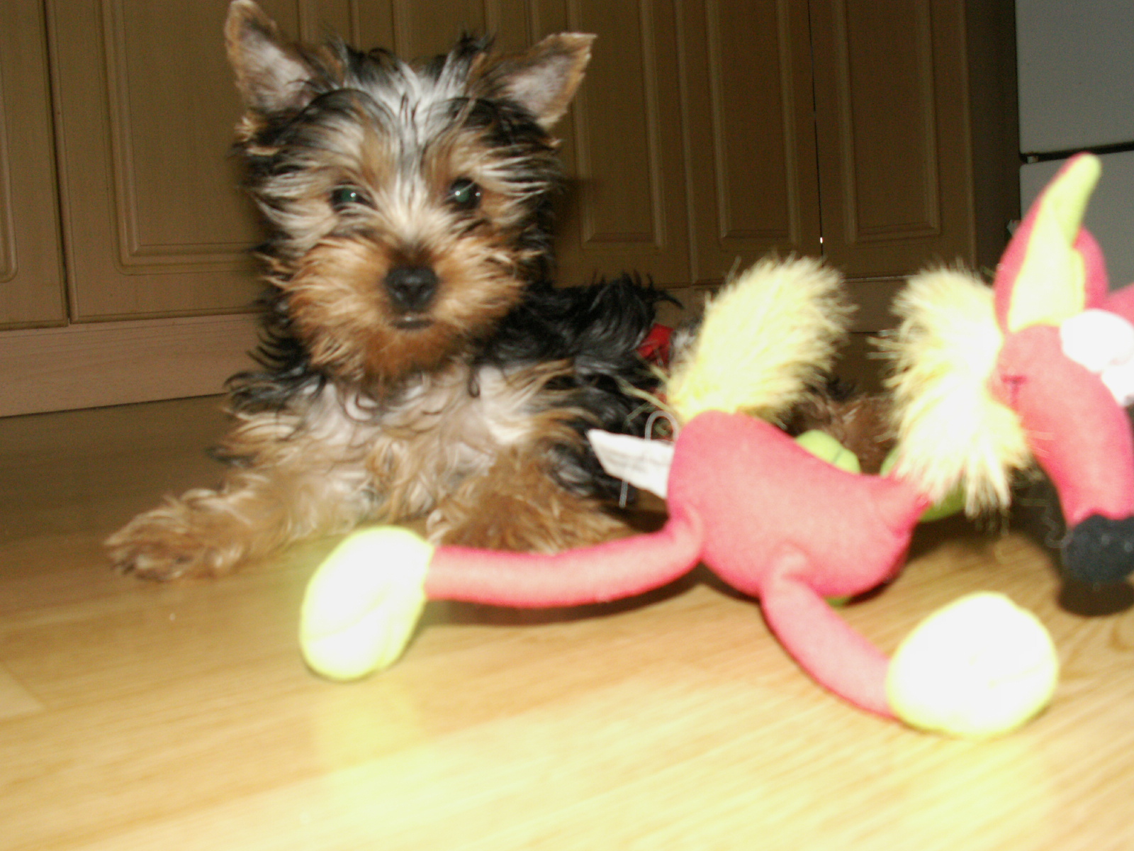 PICT0013.JPG